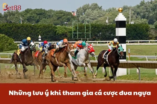 Đua Ngựa Bet88 – Cá Cược Đua Ngựa, Kèo Thắng Cao 3 Những lưu ý khi tham gia cá cược đua ngựa